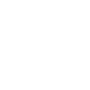 Location_White_2